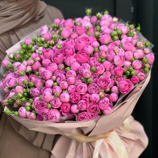 Мисти кустовая роза
