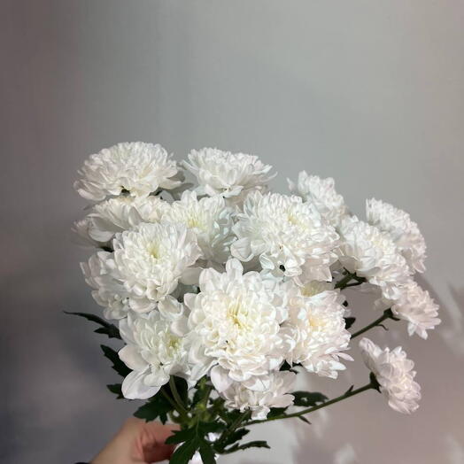 Букет из 3х хризантем