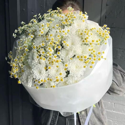 Ромашки и хризантемы 🌼