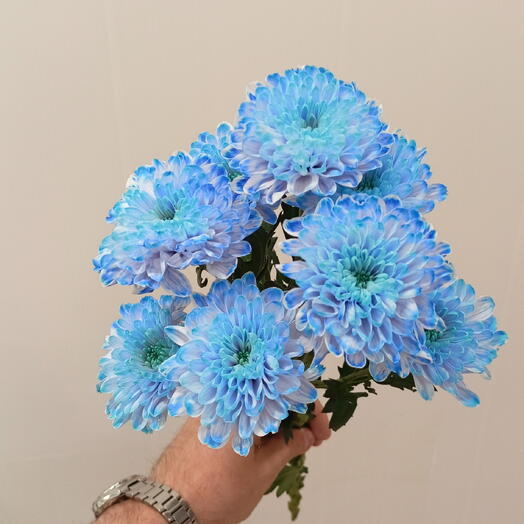 Цветы
