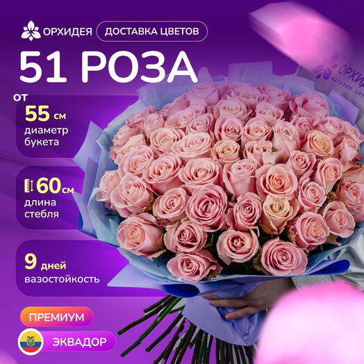 51 роза "Хермоса"