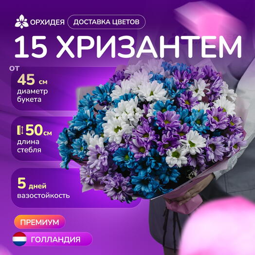 15 хризантем микс краш