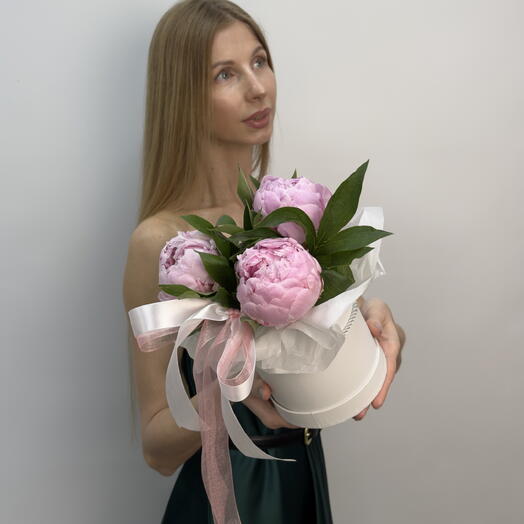 Коробка ароматных пионов Сара Бернар 🌸