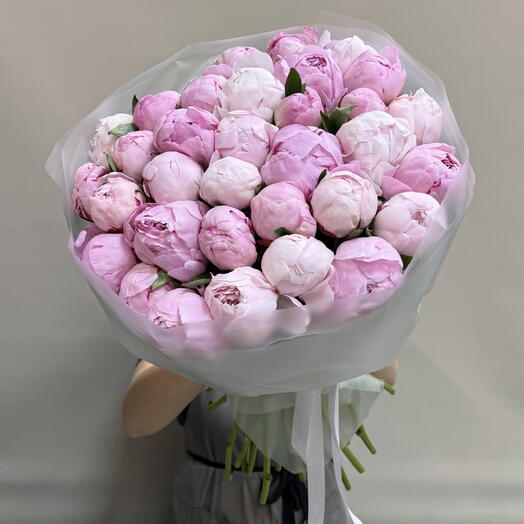 33 голландских пиона Сара Бернар| PREMIUM💜💜💜