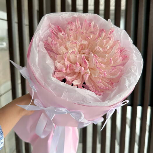 Мини радость 💗