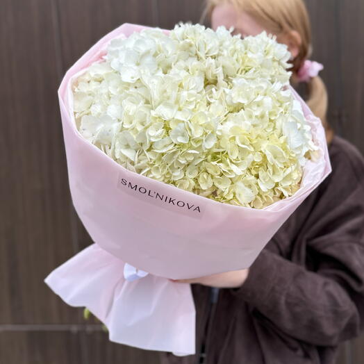 Белое облако из гортензий🥰💞