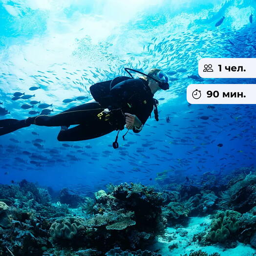 Миссия на глубине. Дайвинг-погружение на открытой воде