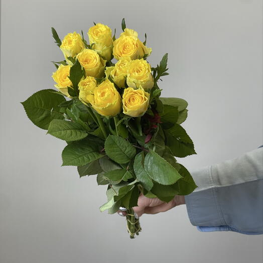 Пачка Роза Кения (10 шт)