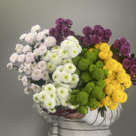 Пачка Хризантема Pompon Grem Bs микс (25шт)