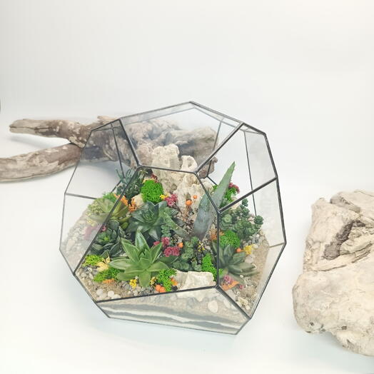 Florarium with Pomegranate succulents 31x24cm