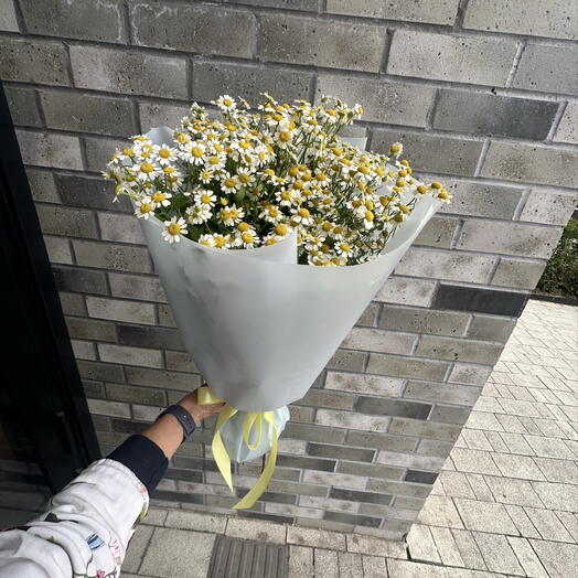 Любит- не любит 💕