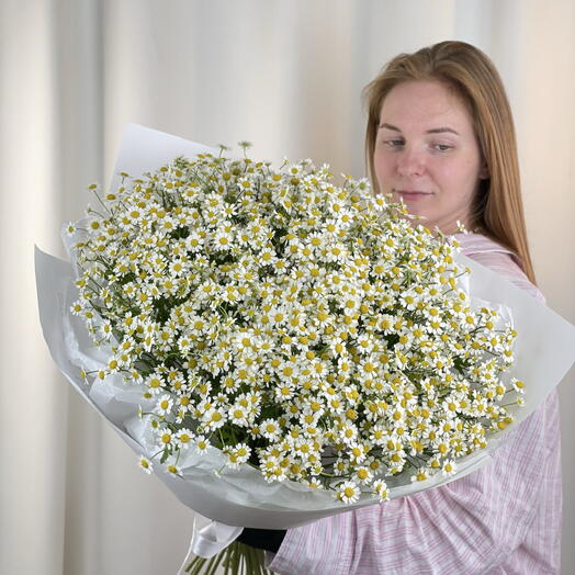 Любимые ромашки 25 штук