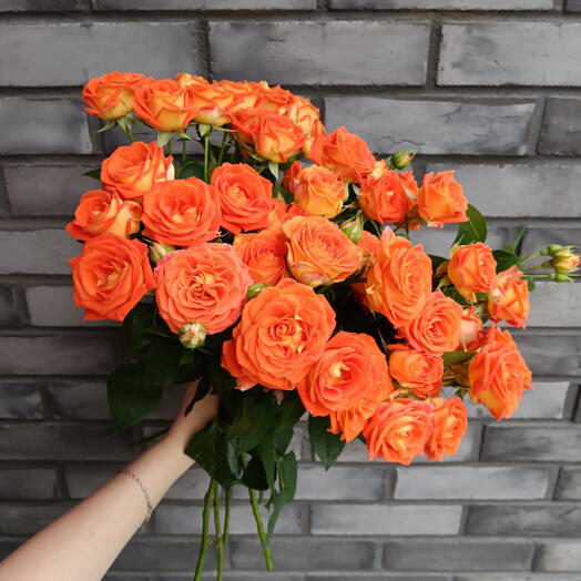 Акция🧡 Монобукет из 11 кустовой розы
