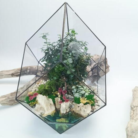 Bonsai Mirsina with a lake in the Iceberg florarium 22x35cm