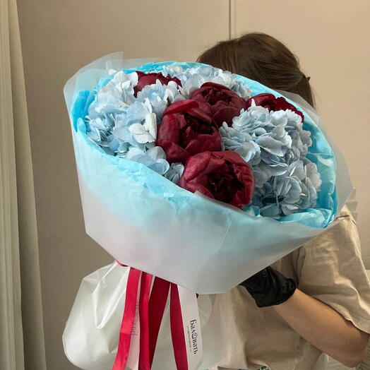 Букет из бордовых пионов и голубой гортензии «Каберне со льдом»