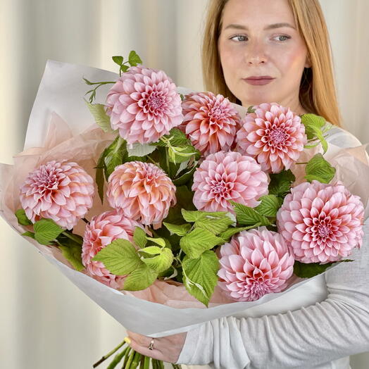 Георгины Пичес 9 штук