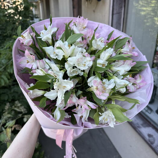 Стойкая альстромерия