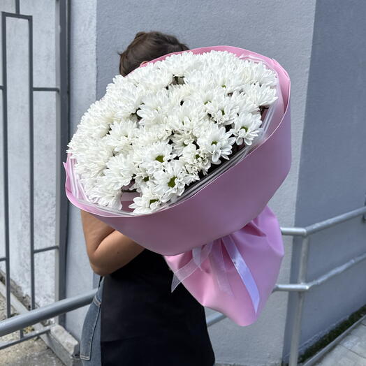 Сад