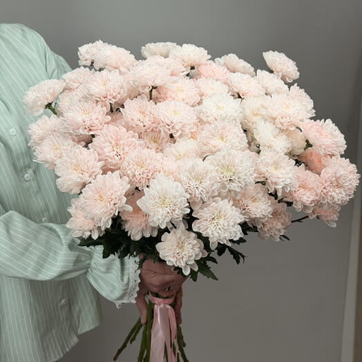 Хризантема персиковая - 11 шт., для учителя на 1 сентября, подруги, мамы, коллеги или на день рождения