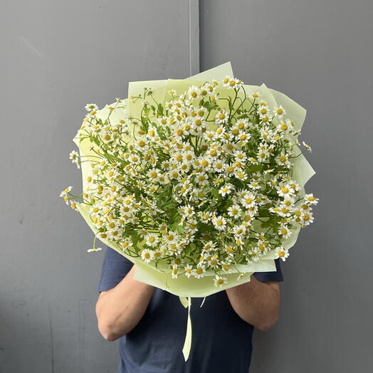 Кустовые ромашки в зеленой упаковке 💚 + подарок от Vivienne Sabo — румяна MACARON
