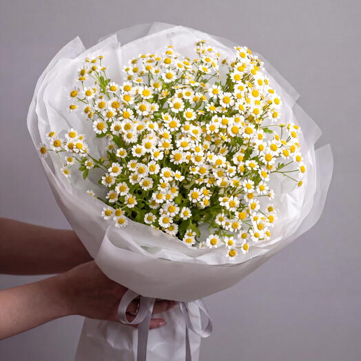 Букет 823 / ромашка