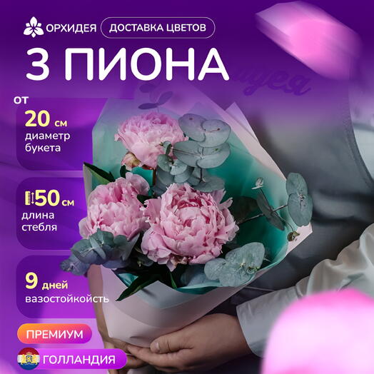 3 Пиона "Сара Бернар" и эвкалипт