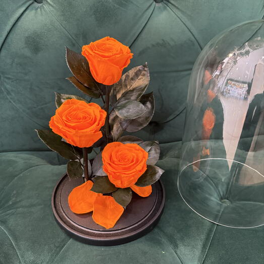 Стабилизированные розы в колбе 🧡