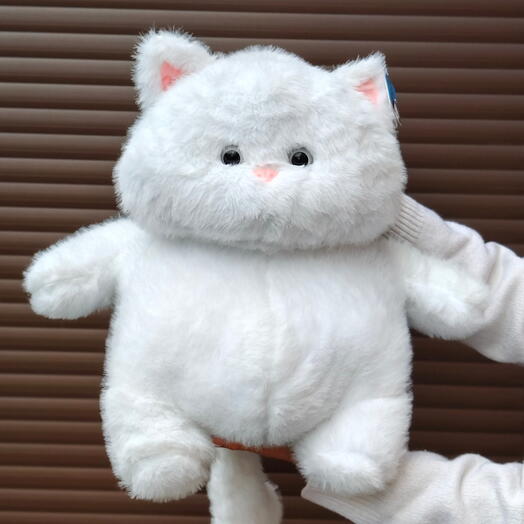 Котик белый
