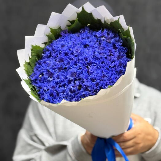 Васильки