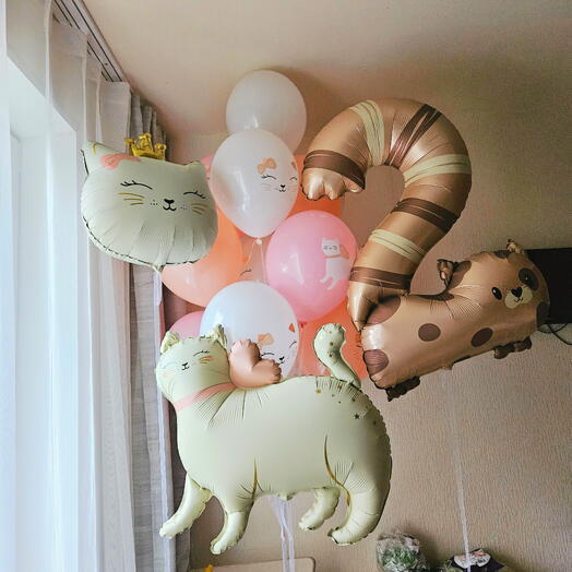 Шарики и шары коты,кошки,котики,котята на 2года дочки,девочки,малышки-13шаров