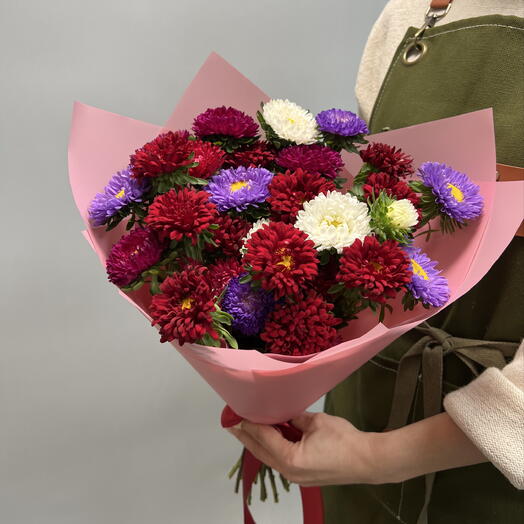 Садовые кустовые Астры микс 15 шт