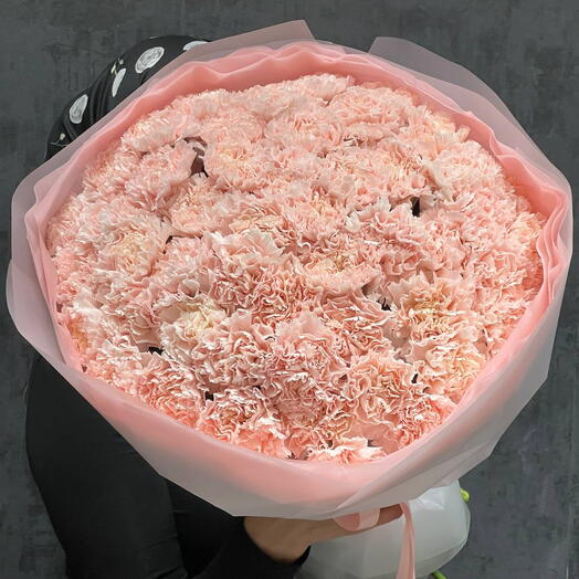 Диантусы 51 / Мск