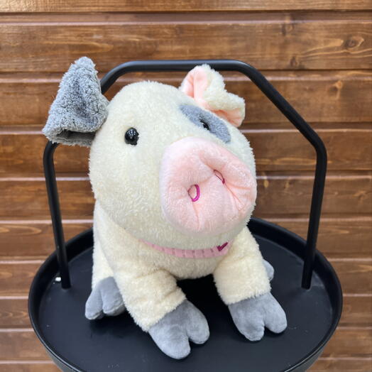 Милый поросенок 🐷