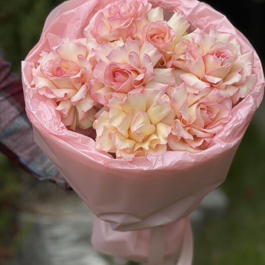 Нежность в каждом  лепестке 🌸