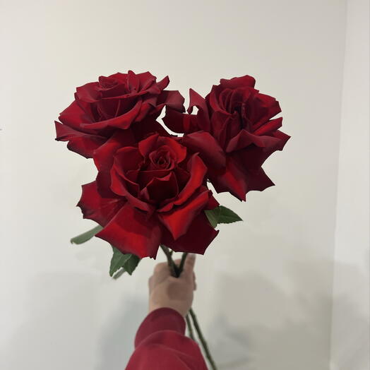 Французские красные розы