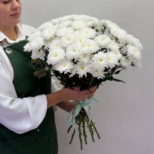 245 Алтайская кустовая хризантема 9 шт. под ленту