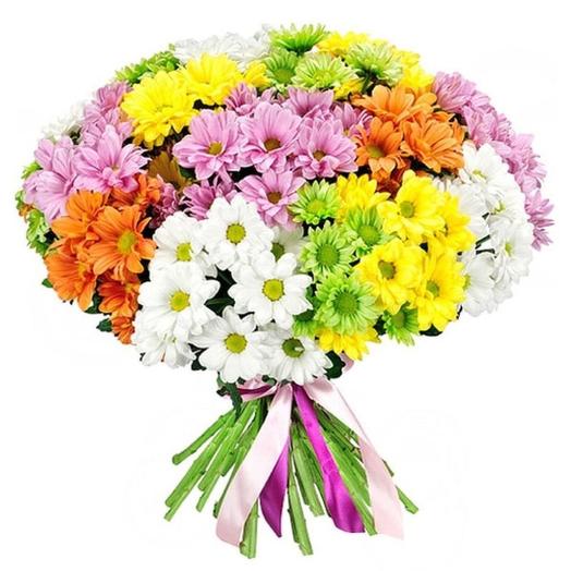 15 colorful chrysanthemums