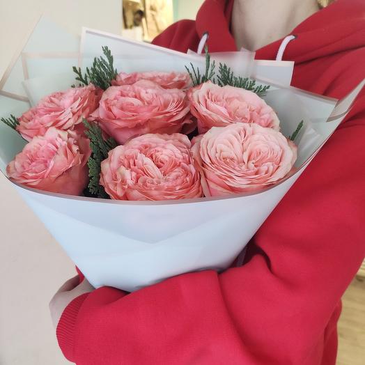 Peony Rose