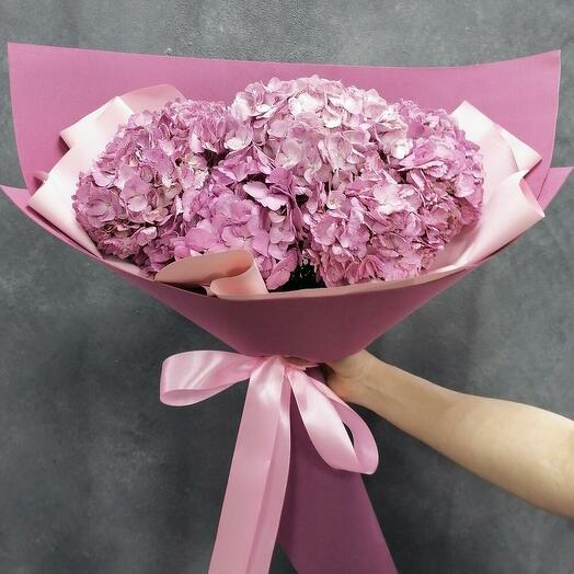5 stylish hydrangeas
