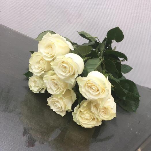 9роз