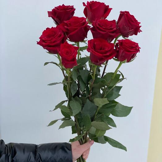 Rosas rojas de élite