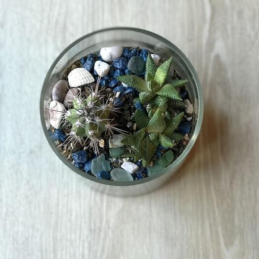 Florarium in a glass vase