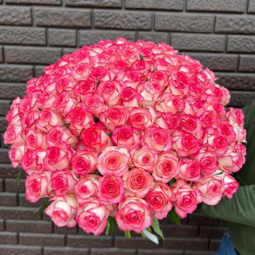 🌹🌹🌹АКЦИЯ!!!🌹101 розовая роза