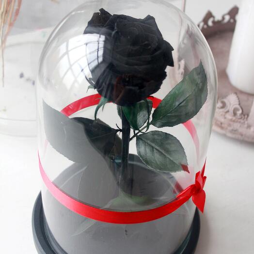 Стабилизированная роза в колбе Premium Standart 7 см, черная, Цветы и  подарки в Москве, купить по цене 7140 руб, Стабилизированные цветы в Rose V  Kolbe с доставкой | Flowwow