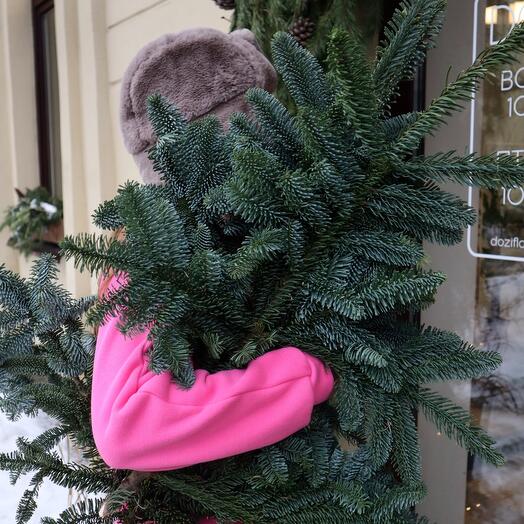 Ветки нобилиса