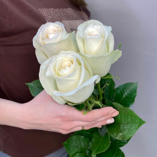 Букет  из белых роз