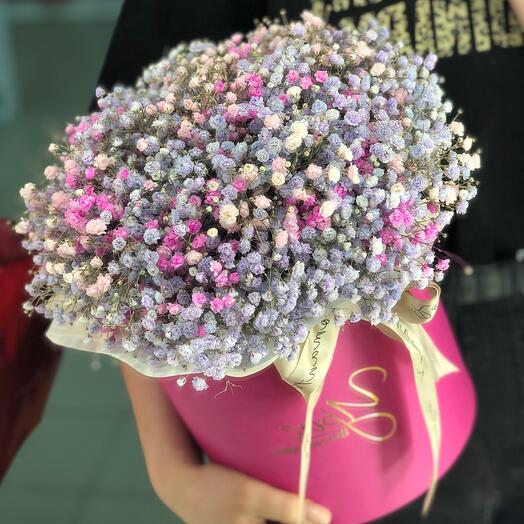 Облачко гипсофилы