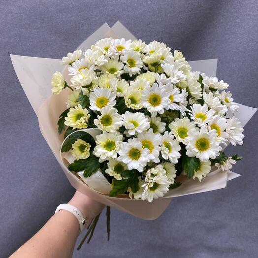 11 chrysanthemum daisies in designer packaging