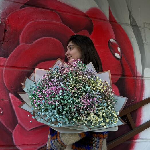 Bouquet of Gypsophila