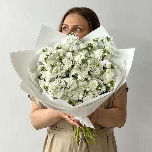 Ramo de mattiola blanca. Bouquet 243 Buket in Moscow